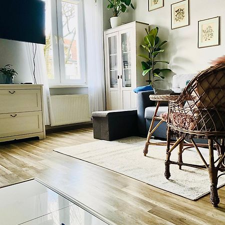 Apartament Na Starym Miescie Boleslawiec  Dış mekan fotoğraf
