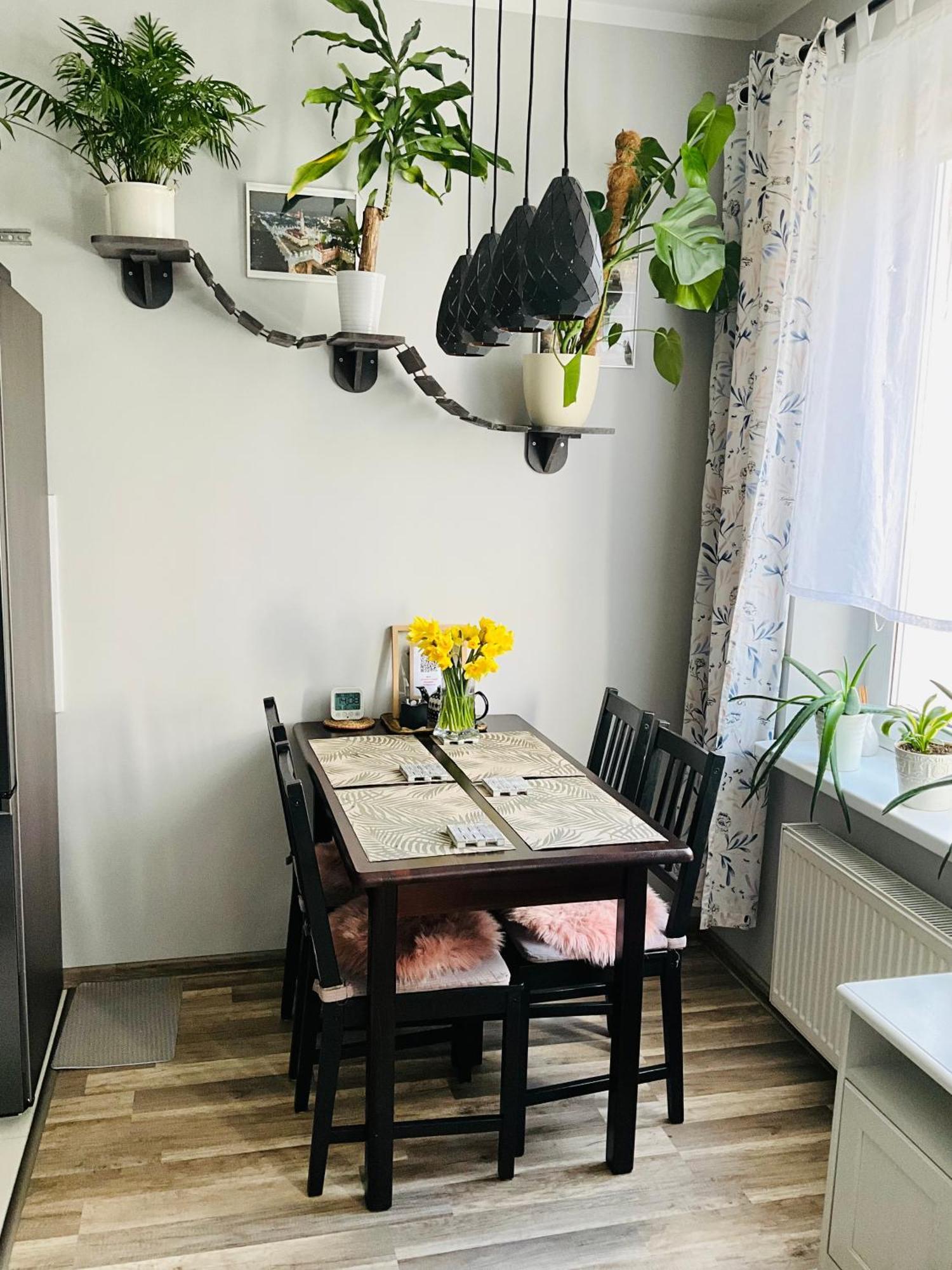 Apartament Na Starym Miescie Boleslawiec  Dış mekan fotoğraf